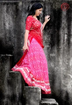 Lehr Lehenga Set