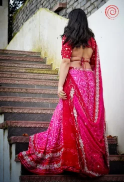Lehr Lehenga Set 01 (4)