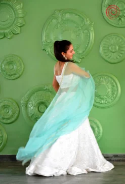 Sama Lehenga Set 01 (2)