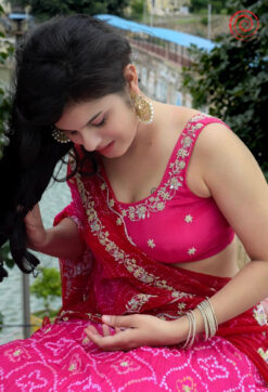 Rangarez Lehenga Set house of sivana 01 (118)