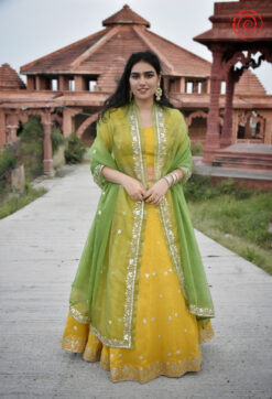 Vaanya Lehenga Set