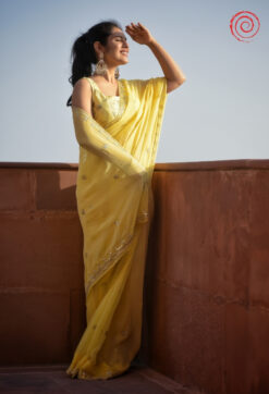 Evara Saree house of sivana 01 (260)