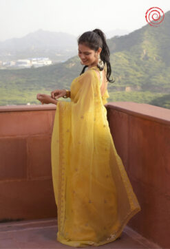 Evara Saree house of sivana 01 (261)