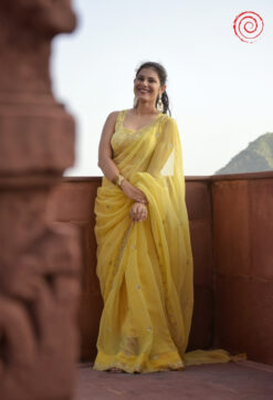 Evara Saree house of sivana 01 (262)