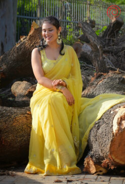 Evara Saree house of sivana 01 (263)