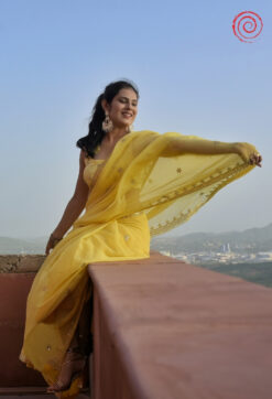 Evara Saree house of sivana 01 (264)
