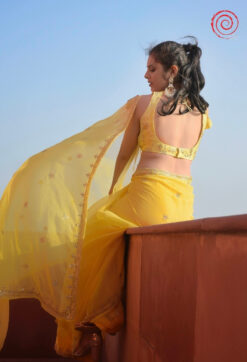 Evara Saree house of sivana 01 (266)