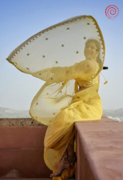 Evara Saree house of sivana 01 (267)