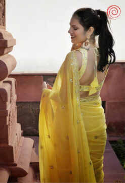 Evara Saree house of sivana 01 (268)
